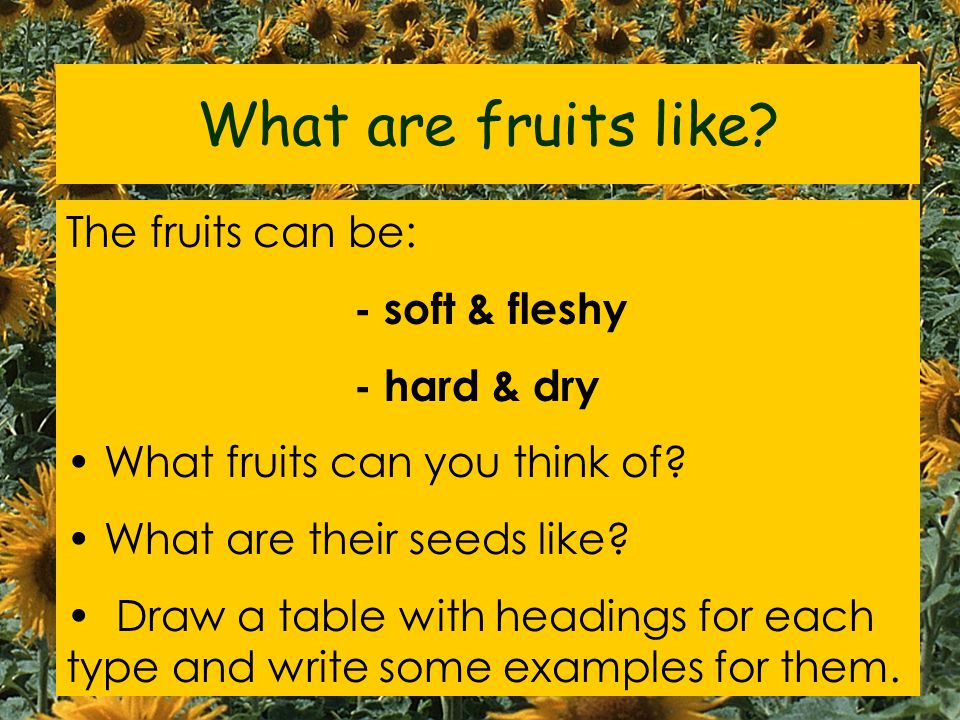 Fruits Activities & Fun Ideas for Kids